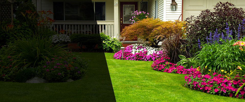Angola Landscapers
