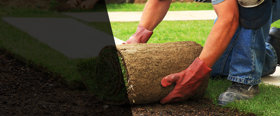 Angola Landscapers